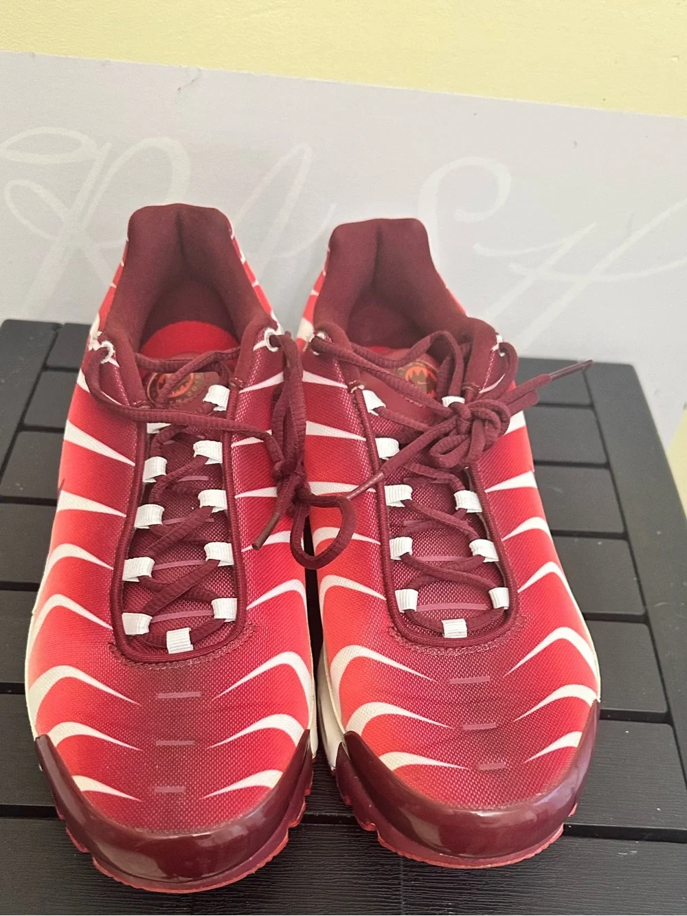 Nike Men’s air max plus”after the bite” shoes